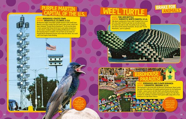 Produktbild: 125 Wacky Roadside Attractions