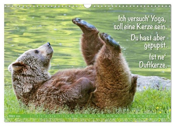 Produktbild: Spa&szlig; mit B&auml;ren: Edition lustige Tiere (Wandkalender 2026 DIN A3 quer), CALVENDO Monatskalender