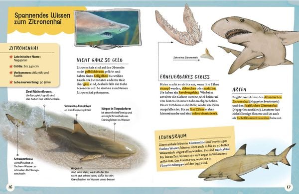 Produktbild: Gespenstfledermaus, Zitronenhai & Co.