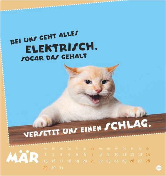 Produktbild: Mach mal Pause Postkartenkalender 2027 - F&uuml;r das Arbeitstier in dir