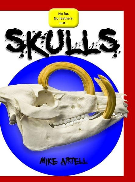 Produktbild: Skulls