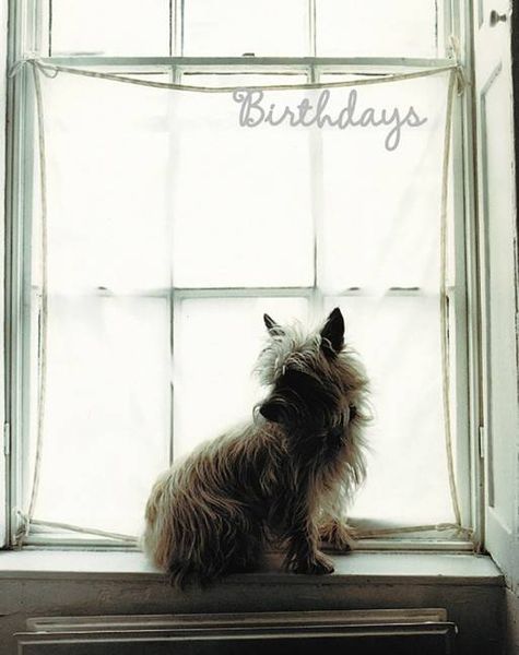 Produktbild: White Birthday Book