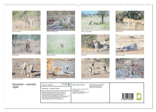 Produktbild: Geparden - schnelle J&auml;ger (hochwertiger Premium Wandkalender 2026 DIN A2 quer), Kunstdruck in Hochglanz