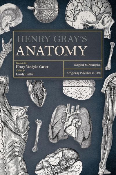 Produktbild: Henry Gray's Anatomy