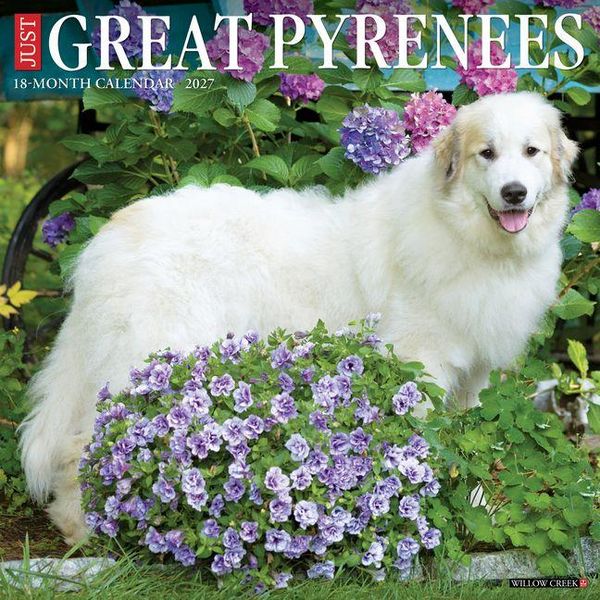 Produktbild: Great Pyrenees 2027 12 X 12 Wall Calendar