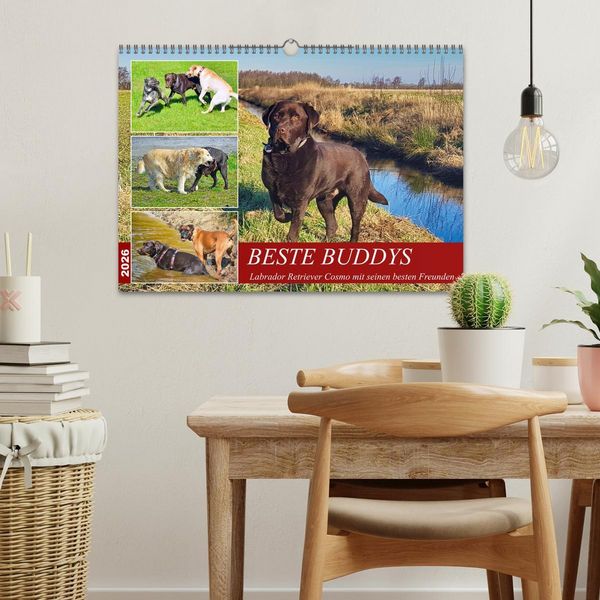 Produktbild: Beste Buddys (Wandkalender 2026 DIN A3 quer), CALVENDO Monatskalender