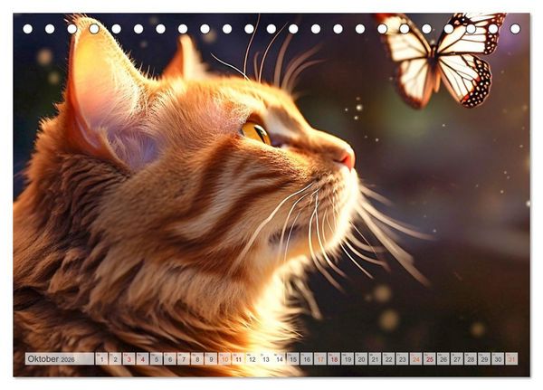 Produktbild: Die Katze und der Schmetterling (Tischkalender 2026 DIN A5 quer), CALVENDO Monatskalender