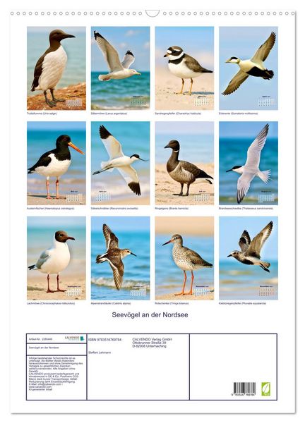 Produktbild: Seev&ouml;gel an der Nordsee (Wandkalender 2027 DIN A2 hoch), CALVENDO Monatskalender