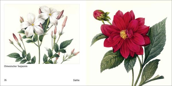 Produktbild: Historische Blumenbilder &ndash; Book To Go