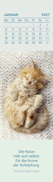 Produktbild: Lesezeichenkalender 2027: Katzenfreunde