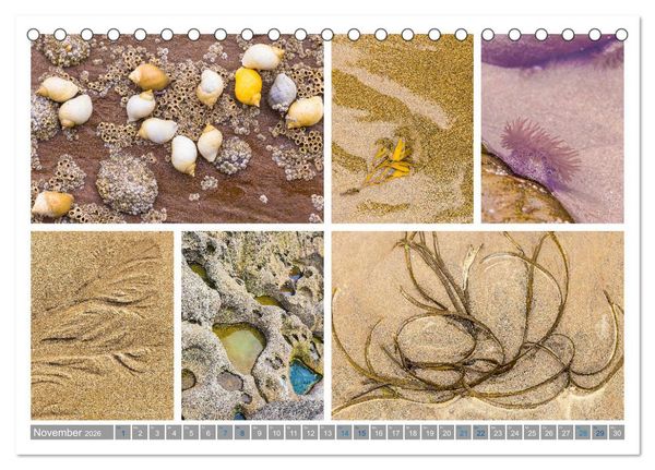 Produktbild: Sehnsucht Wales - Collagen eines Landes (Tischkalender 2026 DIN A5 quer), CALVENDO Monatskalender