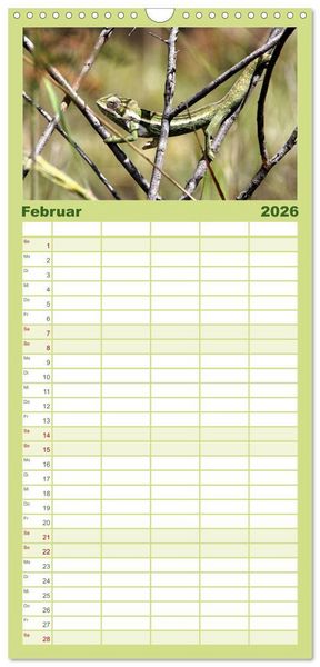 Produktbild: Familienplaner 2026 - Tiere Madagaskars mit 5 Spalten (Wandkalender, 21 x 45 cm) CALVENDO
