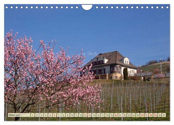 Produktbild: Heppenheim im Laufe der Jahreszeiten (Wandkalender 2027 DIN A4 quer), CALVENDO Monatskalender