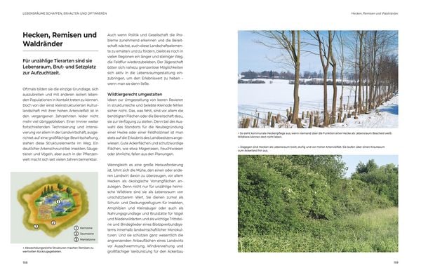 Produktbild: Das gro&szlig;e BLV Handbuch Niederwild