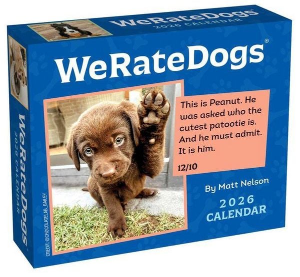 Produktbild: Weratedogs 2026 Day-To-Day Calendar