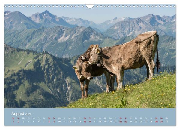 Produktbild: Heimweh Allg&auml;u 2026 (Wandkalender 2026 DIN A3 quer), CALVENDO Monatskalender