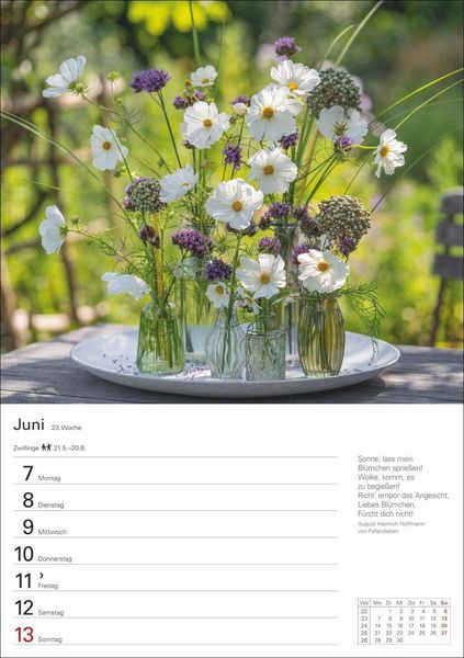 Produktbild: Blumenpracht Wochenplaner 2027 - 53 stimmungsvolle Fotografien