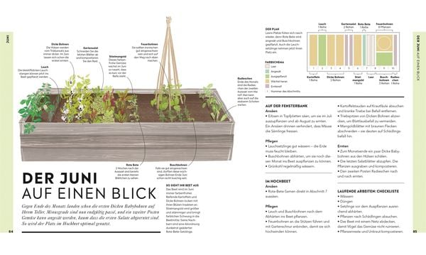 Produktbild: Hochbeet