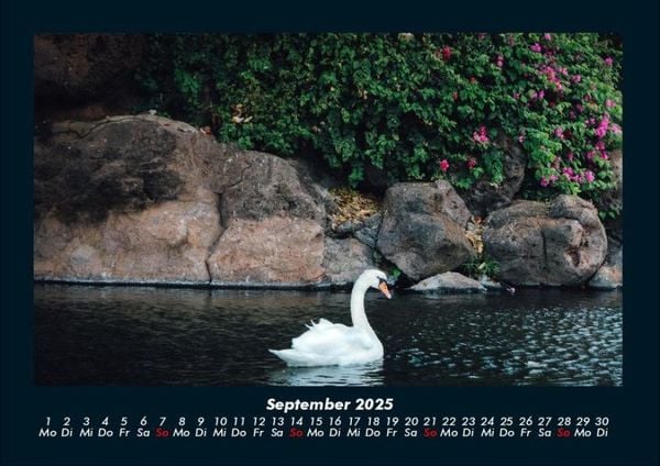 Produktbild: Die Seen der Erde 2025 Fotokalender DIN A4