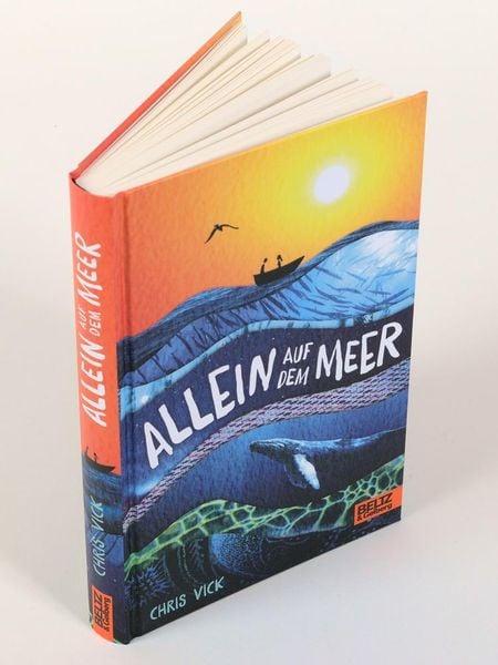Produktbild: Allein auf dem Meer