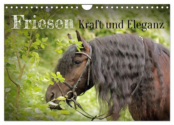 Produktbild: Friesen - Kraft und Eleganz (Wandkalender 2027 DIN A4 quer), CALVENDO Monatskalender