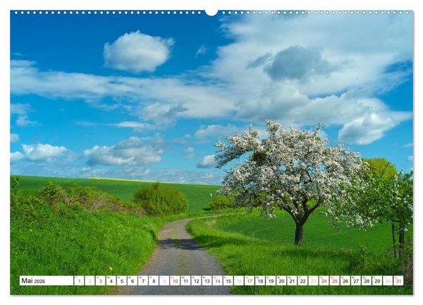 Produktbild: Traumhafte Wege durch die Eifel (hochwertiger Premium Wandkalender 2026 DIN A2 quer), Kunstdruck in Hochglanz