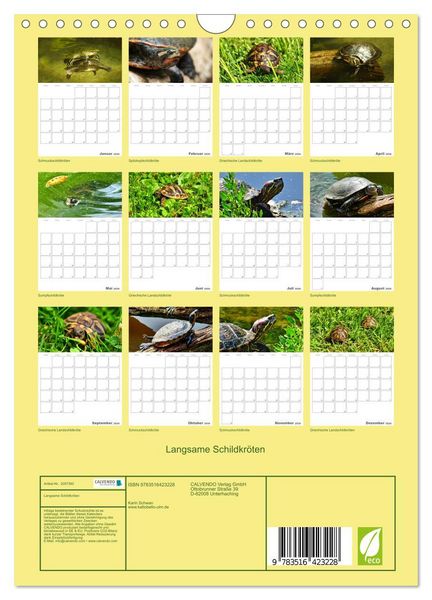 Produktbild: Langsame Schildkr&ouml;ten (Wandkalender 2026 DIN A4 hoch), CALVENDO Monatskalender