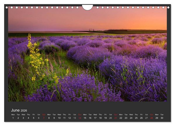 Produktbild: Adorable Nature - Images from Bulgaria / UK-Version (Wall Calendar 2026 DIN A4 landscape), CALVENDO 12 Month Wall Calendar