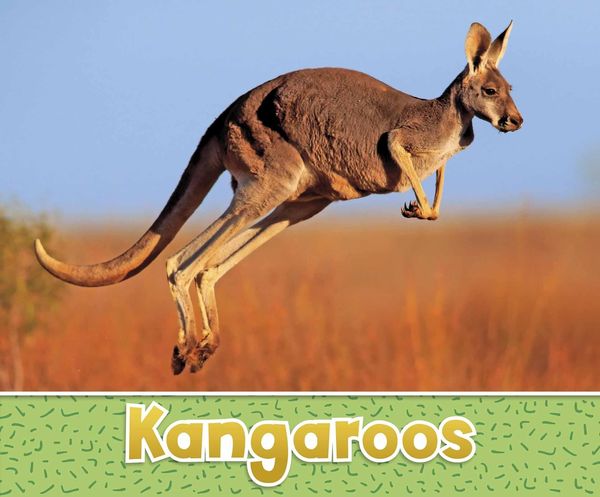 Produktbild: Kangaroos