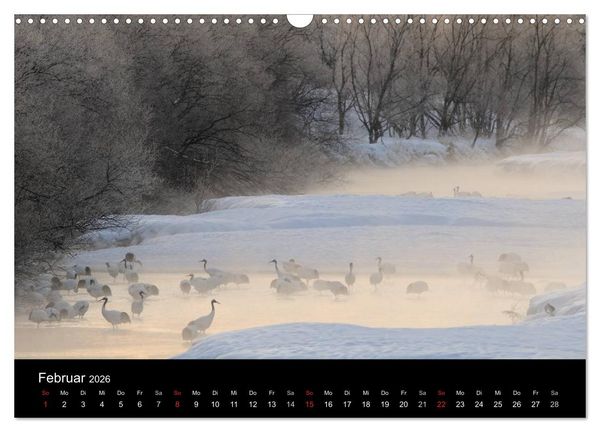 Produktbild: V&ouml;gel & Landschaften (Wandkalender 2026 DIN A3 quer), CALVENDO Monatskalender
