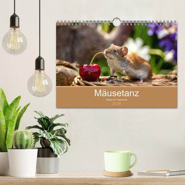 Produktbild: M&auml;usetanz (Wandkalender 2026 DIN A4 quer), CALVENDO Monatskalender