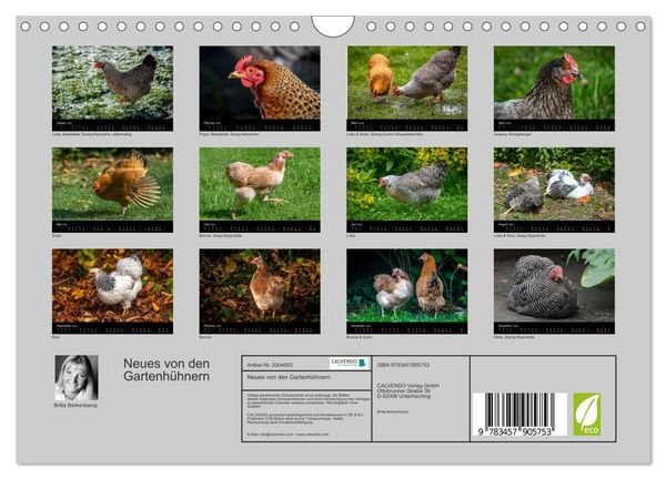 Produktbild: Neues von den Gartenh&uuml;hnern (Wandkalender 2026 DIN A4 quer), CALVENDO Monatskalender