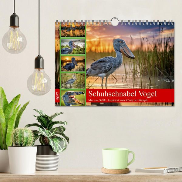 Produktbild: Schuhschnabel Vogel (Wandkalender 2027 DIN A4 quer), CALVENDO Monatskalender