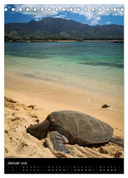 Produktbild: Hawaii - Inseltraum im Pazifik (Tischkalender 2026 DIN A5 hoch), CALVENDO Monatskalender