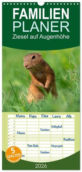 Familienplaner 2026 - Ziesel auf Augenhöhe mit 5 Spalten (Wandkalender, 21 x 45 cm) CALVENDO