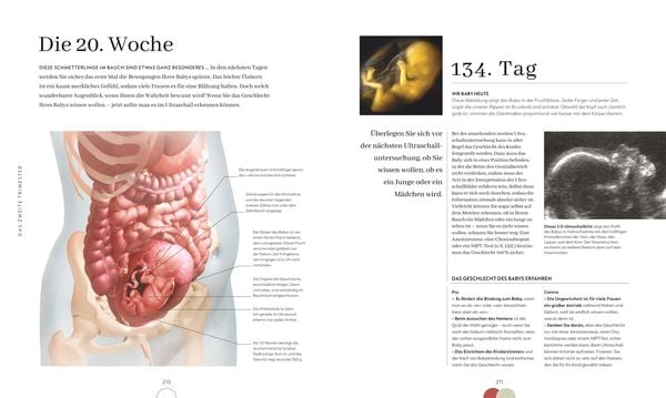 Produktbild: Alles &uuml;ber meine Schwangerschaft Tag f&uuml;r Tag