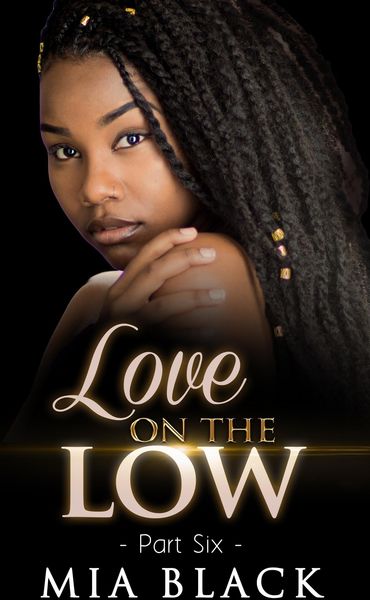 Produktbild: Love On The Low 6 (Secret Love Series, #6)