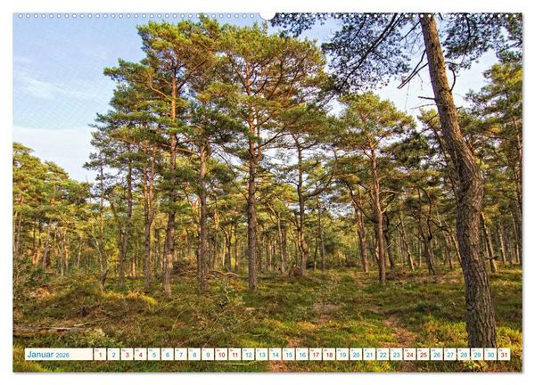 Produktbild: Cuxhaven, Landschaften zwischen K&uuml;ste und Heide (Wandkalender 2026 DIN A2 quer), CALVENDO Monatskalender
