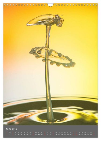 Produktbild: Liquid Art, Highspeed Tropfenfotografie (Wandkalender 2026 DIN A3 hoch), CALVENDO Monatskalender