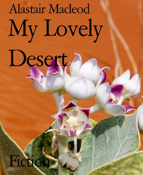 Produktbild: My Lovely Desert