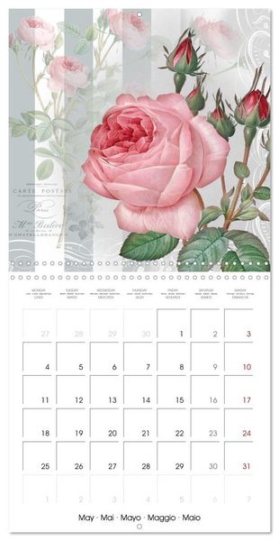 Produktbild: The Magical Roses Collages with roses from Pierre Joseph Redout&eacute; (Wall Calendar 2026 12 &times; 12 Inch) CALVENDO 12 Month Wall Calendar