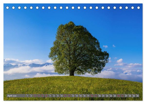 Produktbild: Sch&ouml;ne Wanderungen um Oberstdorf (Tischkalender 2026 DIN A5 quer), CALVENDO Monatskalender