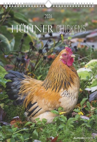 Produktbild: Hühner Kalender im Format 29,7 x 42
