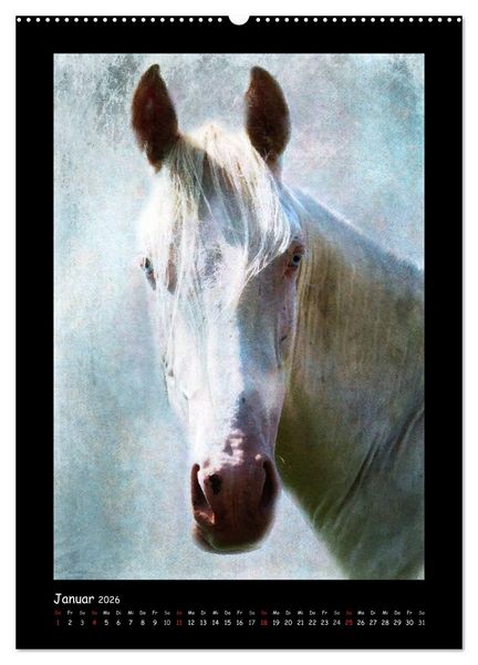 Produktbild: Art Horse 2026 (Wandkalender 2026 DIN A2 hoch), CALVENDO Monatskalender