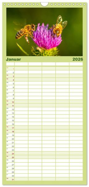 Produktbild: Familienplaner 2026 - Die Welt der flei&szlig;igen Bienen mit 5 Spalten (Wandkalender, 21 x 45 cm) CALVENDO
