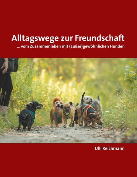Produktbild: Alltagswege zur Freundschaft