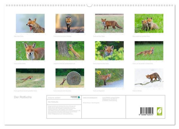 Produktbild: Der Rotfuchs (hochwertiger Premium Wandkalender 2027 DIN A2 quer), Kunstdruck in Hochglanz