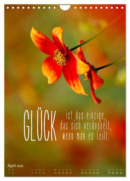 Produktbild: ICH W&Uuml;NSCHE DIR GL&Uuml;CK - 12 Monate mit inspirierenden Gl&uuml;ckszitaten (Wandkalender 2026 DIN A4 hoch), CALVENDO Monatskalender