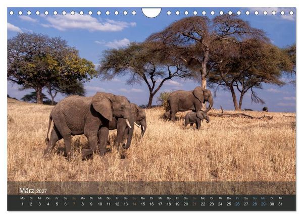 Produktbild: Elefanten (Wandkalender 2027 DIN A4 quer), CALVENDO Monatskalender