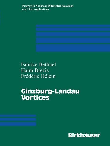 Produktbild: Ginzburg-Landau Vortices